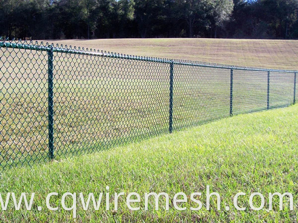 High Quality 50mm Diamond Hole Wire Fencing Mesh (WFM)